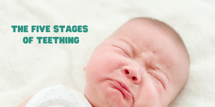 The Five Stages of Teething_SnoozeShade.com